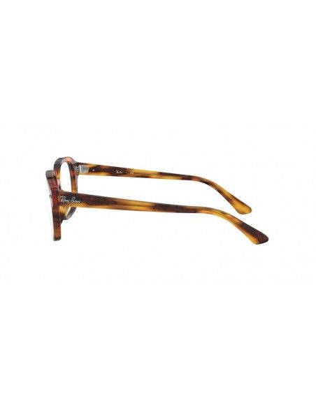 Comprar Ray-Ban Vista RX5382 2144 al merjor precio en Shoppinggafas.com