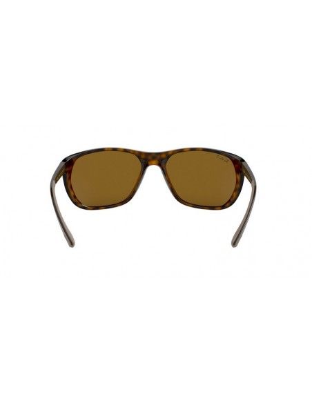 Comprar Ray-Ban RB4307 710_83 al merjor precio en Shoppinggafas.com