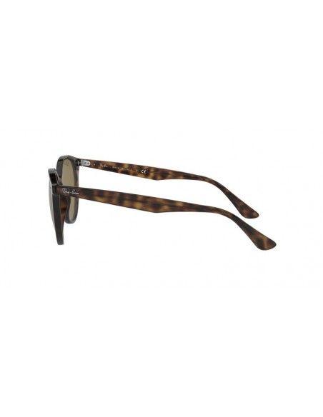 Comprar Ray-Ban RB4305 710_73 al merjor precio en Shoppinggafas.com