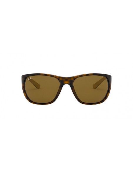 Comprar Ray-Ban RB4307 710_73 al merjor precio en Shoppinggafas.com