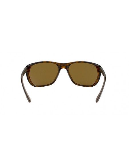 Comprar Ray-Ban RB4307 710_73 al merjor precio en Shoppinggafas.com