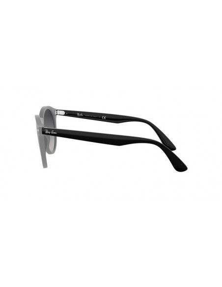 Comprar Ray-Ban ® BLAZE PANTHOS RB4380N 64158G al merjor precio en Shoppinggafas.com