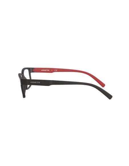 Comprar Arnette AN7175 2580 al merjor precio en Shoppinggafas.com